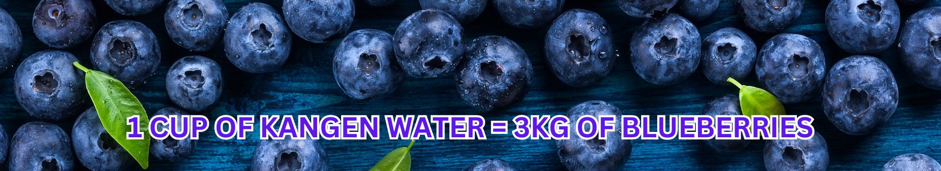 1 cup of Kangen Water 3kg of blueberries